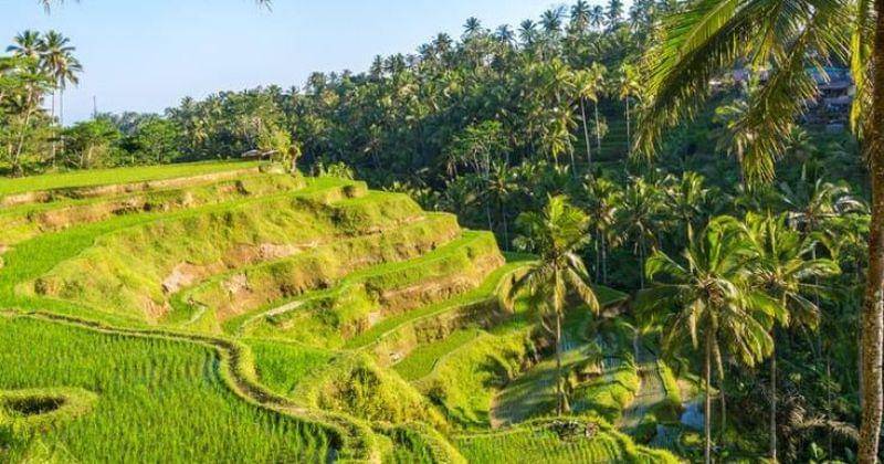 Pinterest.com/NgocDao